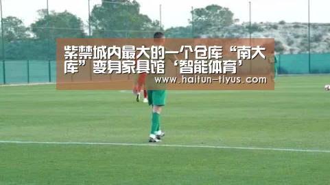 体育赛事
