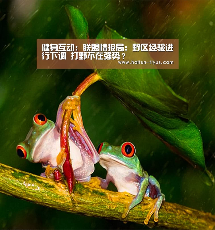 海豚体育