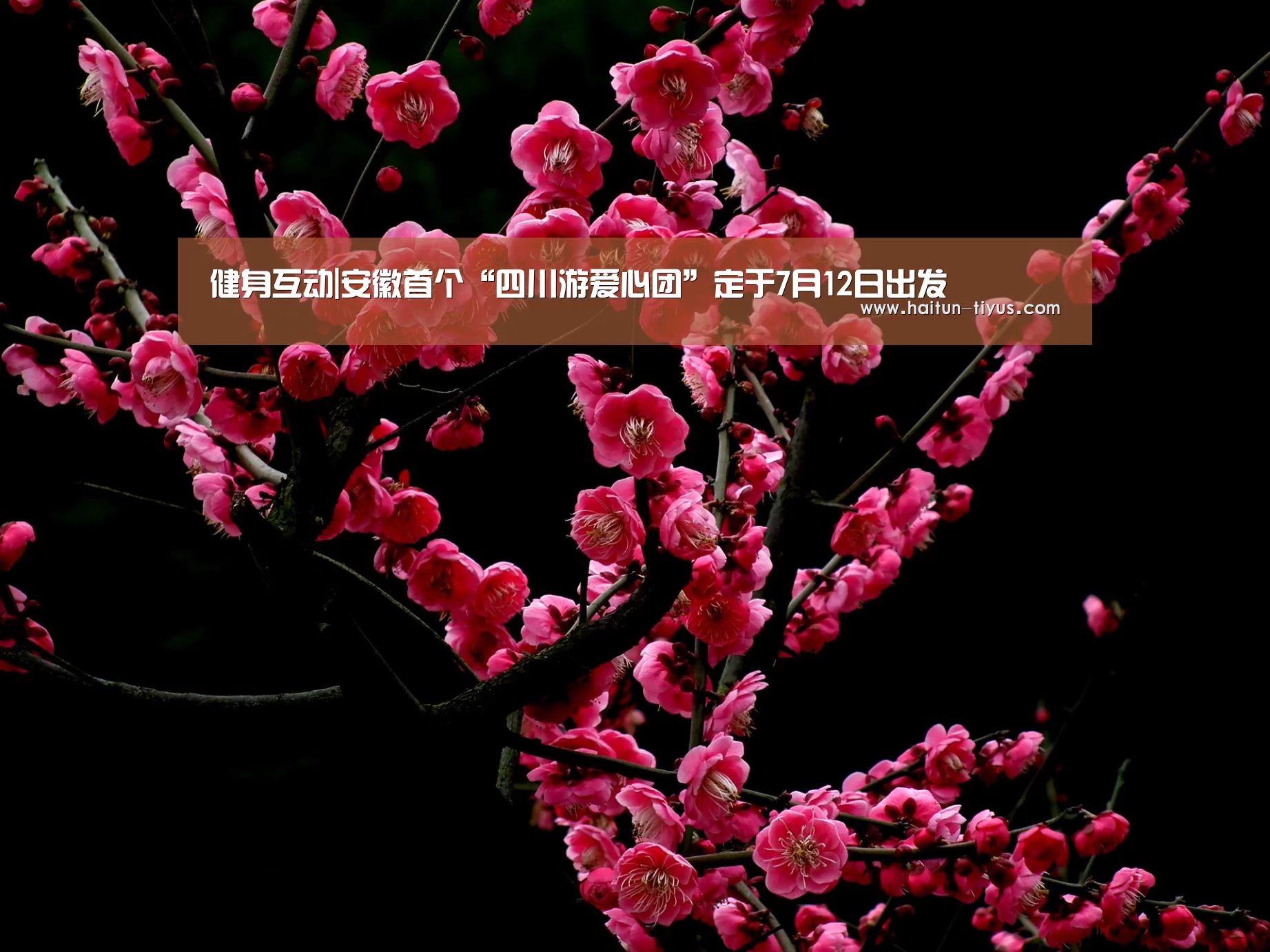 智能体育