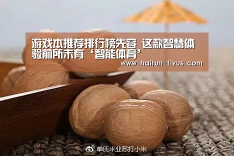 智能体育