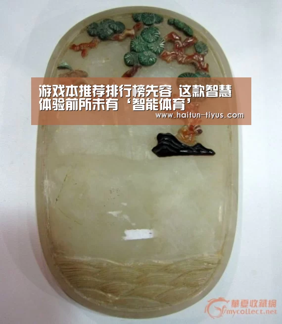 运动平台