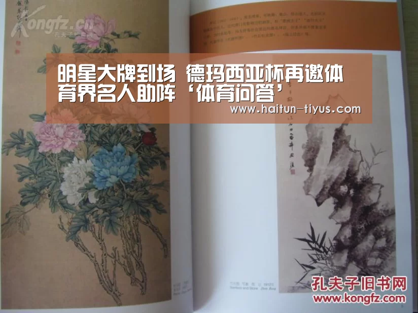 运动平台