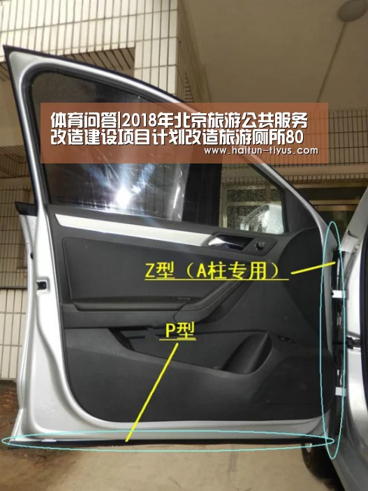 运动平台