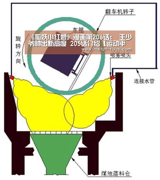 海豚体育