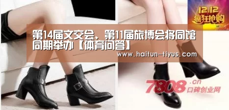 海豚体育