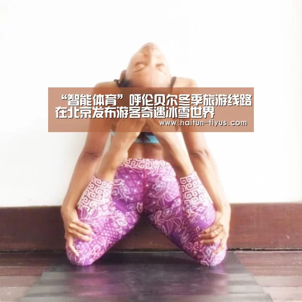 海豚体育