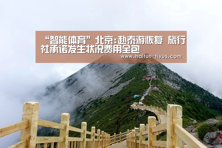 运动平台
