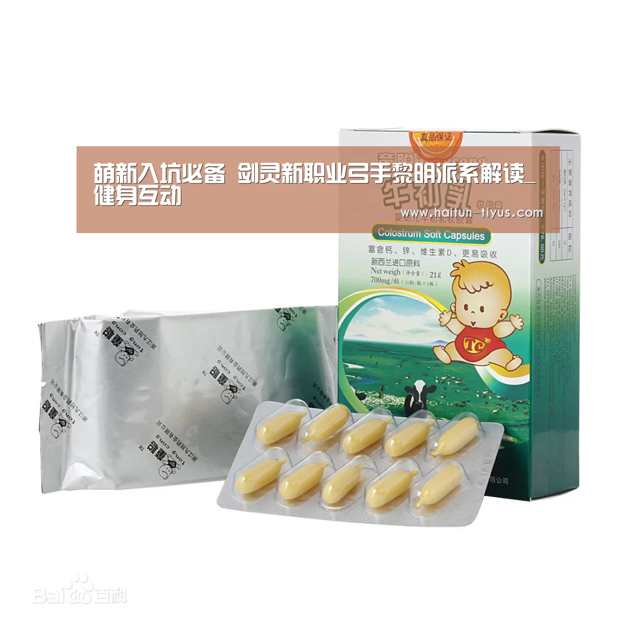 海豚体育