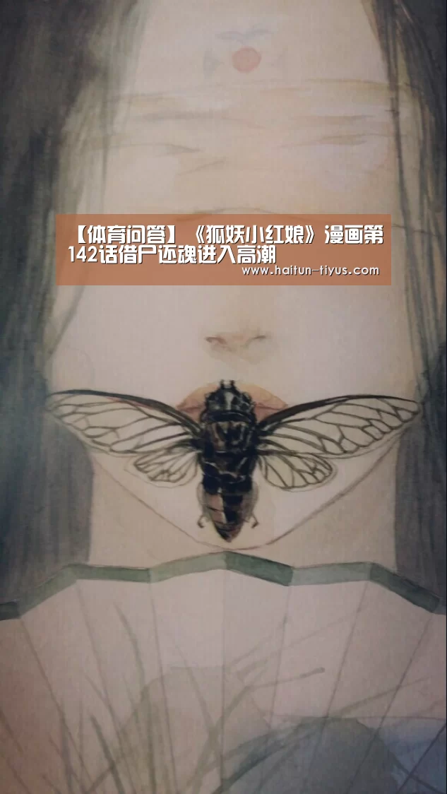 海豚体育