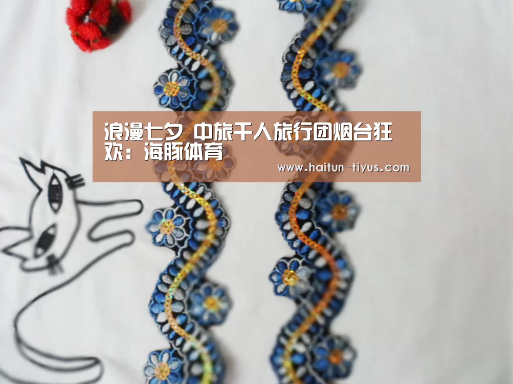 海豚体育