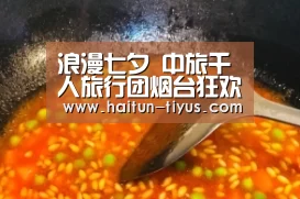 海豚体育
