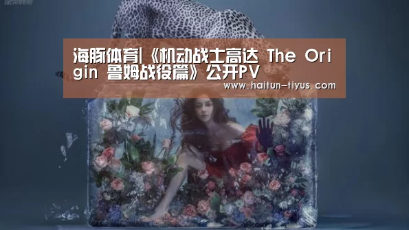 海豚体育