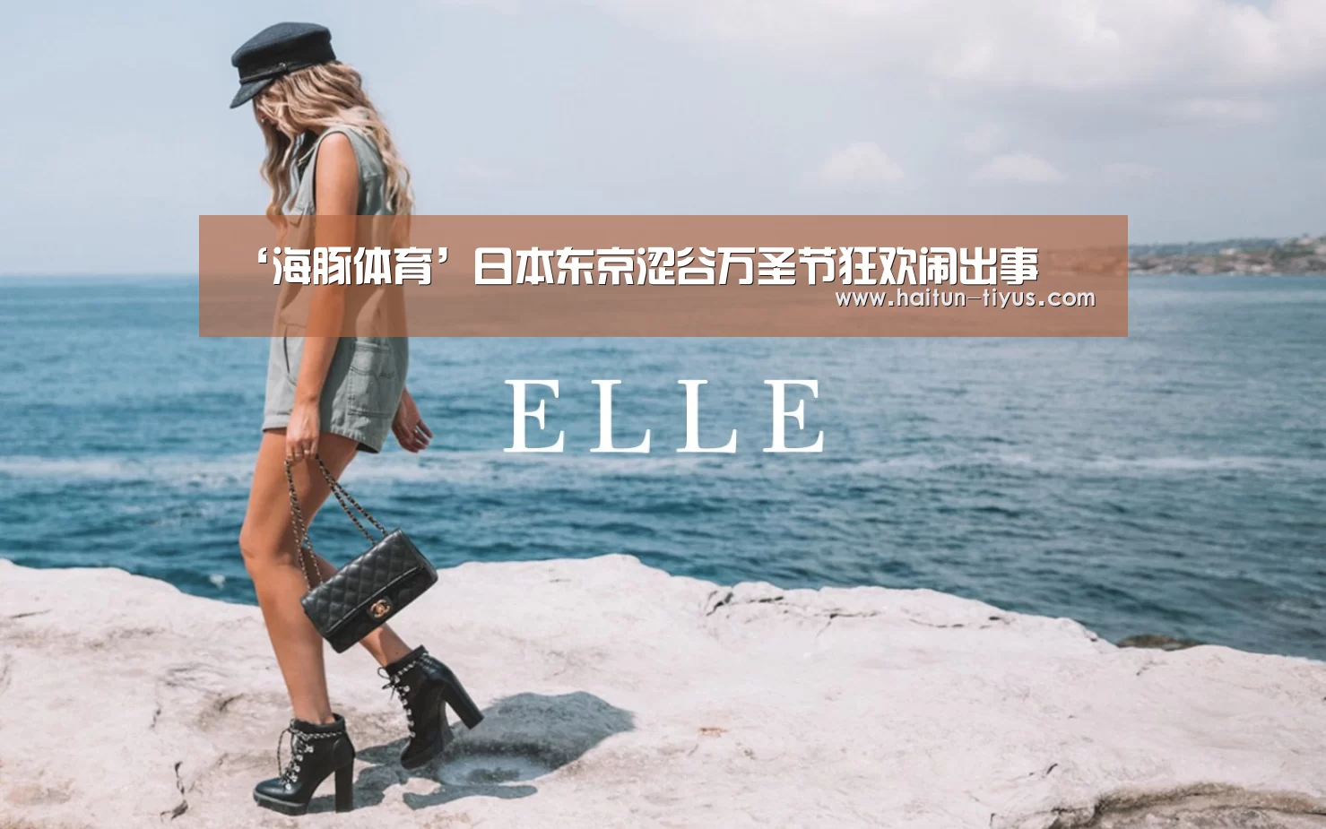 海豚体育