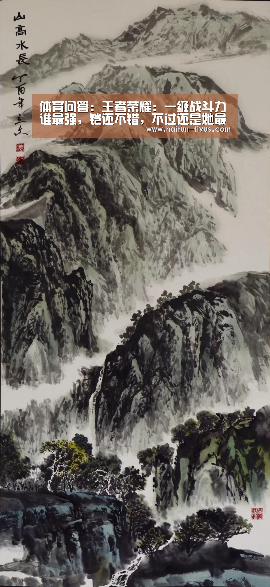 海豚体育