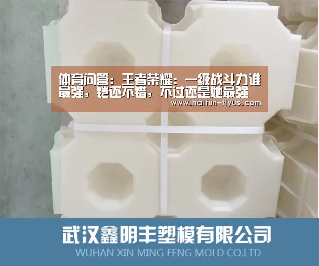 运动平台